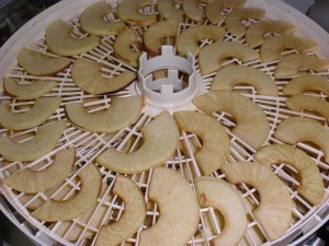 Apples loaded into the dehydrator.