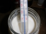 Taking the temperature of the yogurt