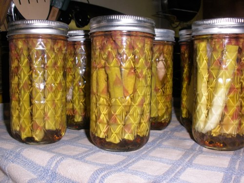 Finished Jars of Pickled Asparagus.